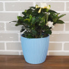 Горшок с дренажной системой Эви VipSet 3л небесный