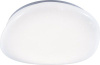 Светильник LED MDL30001/450