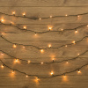 Гирлянда внутр. (LED) 6м 40LED тепло-белый свет (зеленый провод) "Твинкл Лайт" Neon-Night 303-026 
