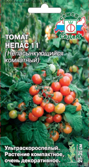 tomat_nepas_11_nepasynkuyushchiysya_komnatnyy