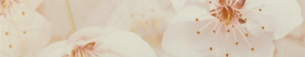 V0012086