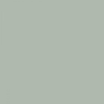 salmon-fon-900-04-700x700