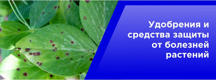 Удобрения и средства защиты от болезней растений Удобрения и средства защиты от болезней растений