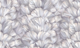 60cc3aafb326fbb36acb2b04031e90cd