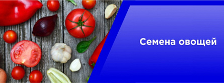 Семена овощей Семена овощей