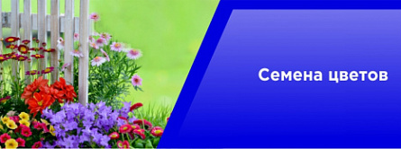 Семена цветов Семена цветов