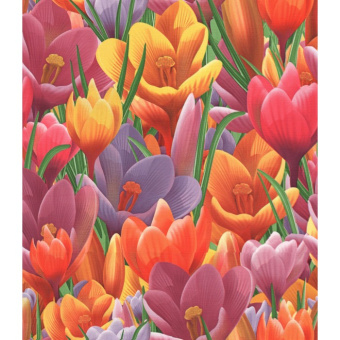 gollandiya_32_16s2-890x1024-700x700