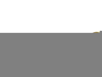 u_files_store_1_1368152
