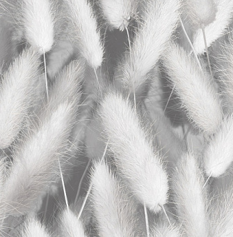 socsl6wanxdou0paihedgrso723cepvq