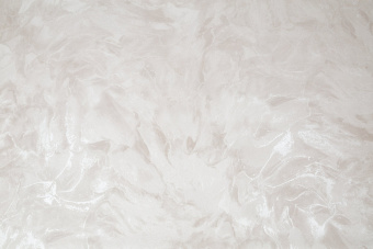 CAT_MACRO_PHOTOrI_FM72383-22_(1)