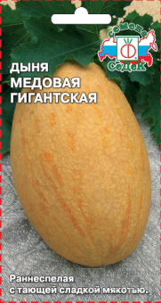 dynya_medovaya_gigantskaya