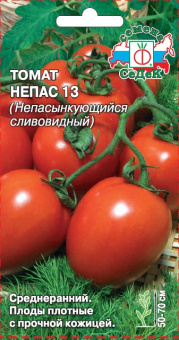 tomat_nepas_13_nepasynkuyushchiysya_slivovidnyy