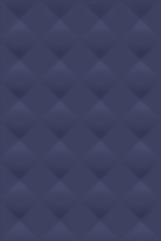 010100001173